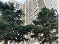 Photo numero 48380349 du bien UBI475414169